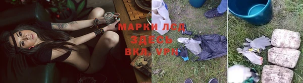 a pvp Аркадак