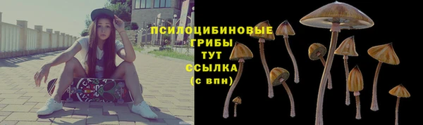 a pvp Аркадак