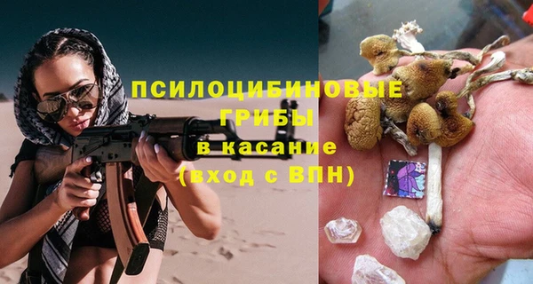 PSILOCYBIN Арсеньев