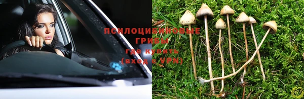 стаф Армянск